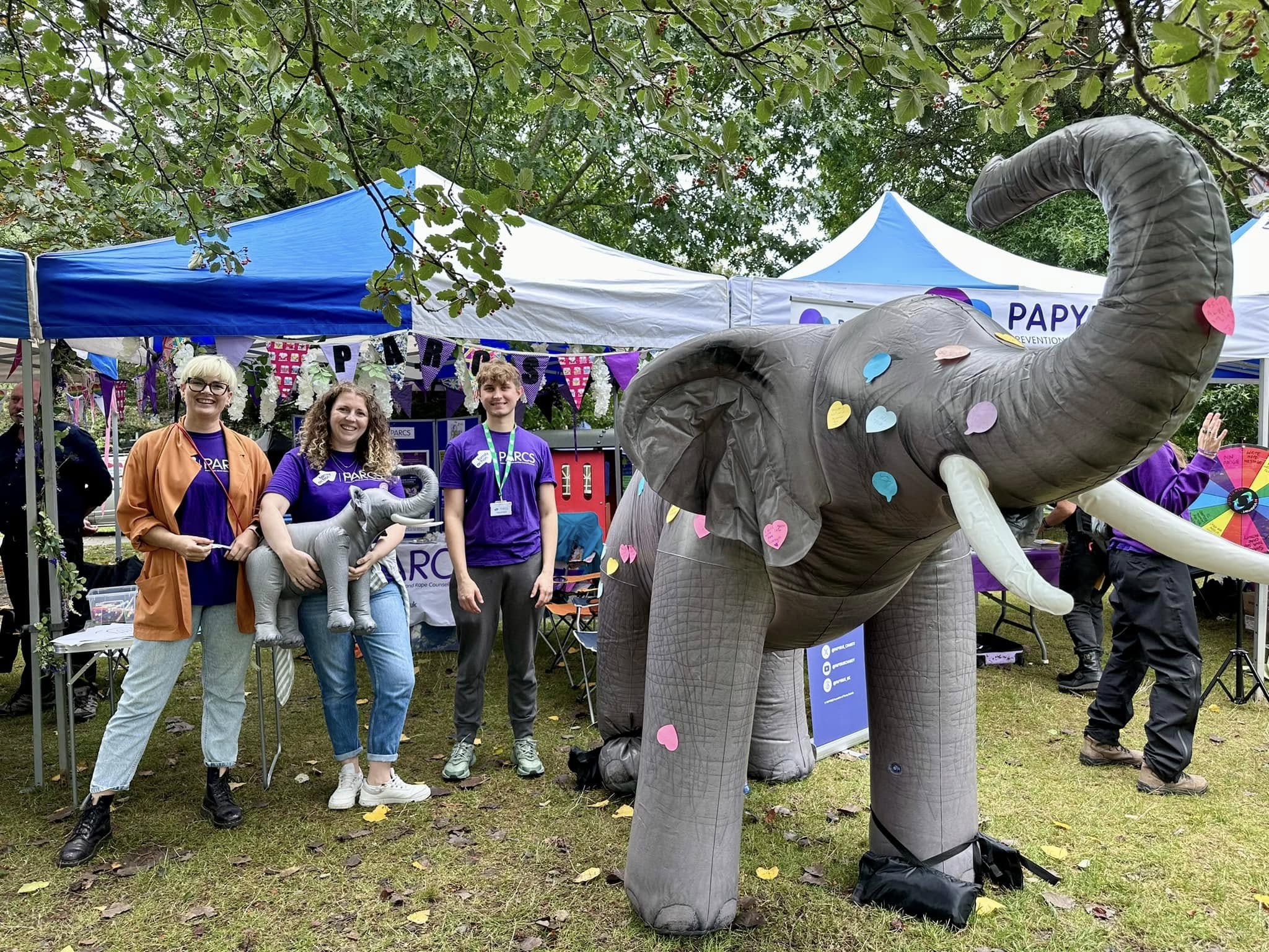 What's On including PARCS Stand at a previous SALT Festival